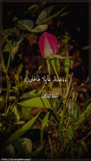 Ad-Dhuhaa Ayah 8 - Arabic wallpaper
