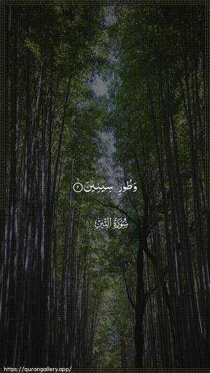 At-Tin Ayah 2 - Arabic wallpaper