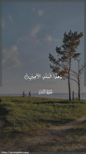 At-Tin Ayah 3 - Arabic wallpaper
