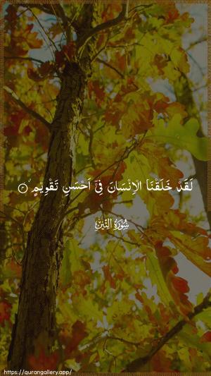 At-Tin Ayah 4 - Arabic wallpaper