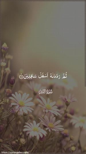 At-Tin Ayah 5 - Arabic wallpaper