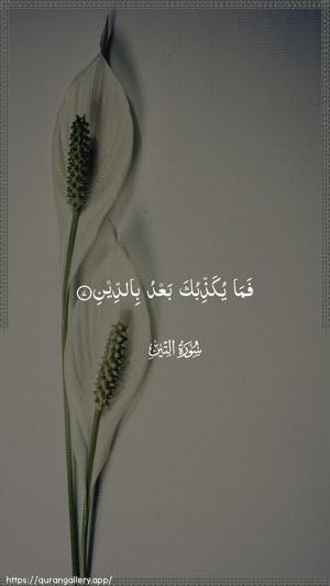 At-Tin Ayah 7 - Arabic wallpaper