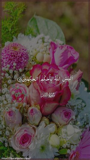 At-Tin Ayah 8 - Arabic wallpaper