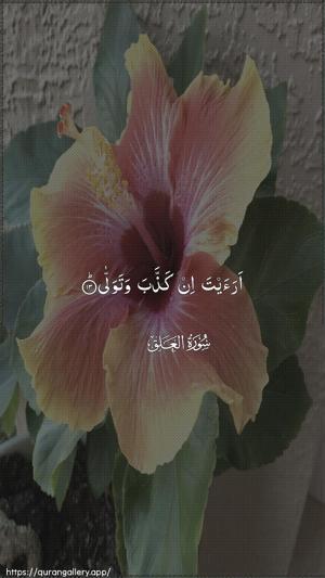 Al-Alaq Ayah 13 - Arabic wallpaper