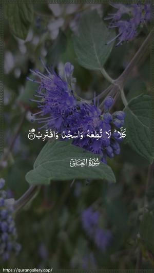 Al-Alaq Ayah 19 - Arabic wallpaper
