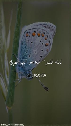 Al-Qadr Ayah 3 - Arabic wallpaper