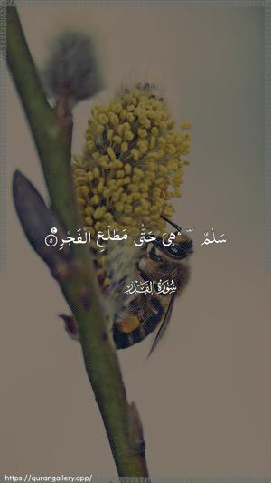 Al-Qadr Ayah 5 - Arabic wallpaper