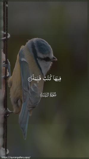 Al-Bayyina Ayah 3 - Arabic wallpaper