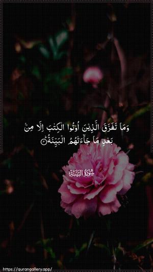 Al-Bayyina Ayah 4 - Arabic wallpaper