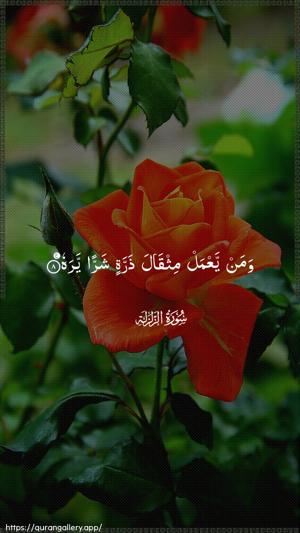 Az-Zalzala Ayah 8 - Arabic wallpaper