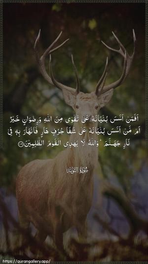 At-Tawba Ayah 109 - Arabic wallpaper