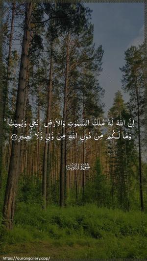 At-Tawba Ayah 116 - Arabic wallpaper