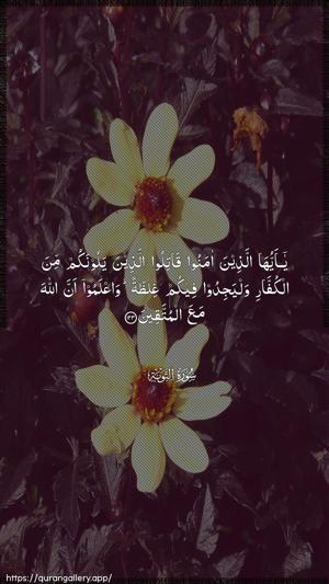At-Tawba Ayah 123 - Arabic wallpaper