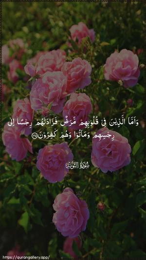 At-Tawba Ayah 125 - Arabic wallpaper