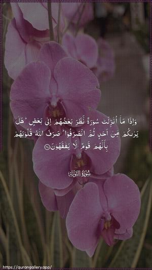 At-Tawba Ayah 127 - Arabic wallpaper
