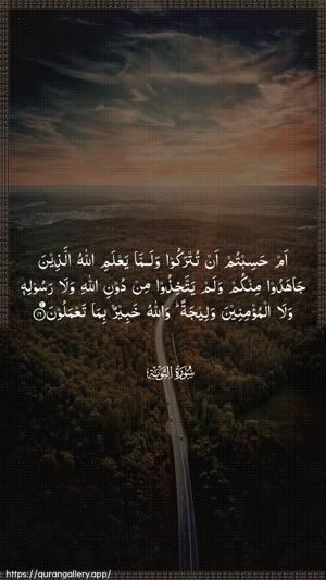 At-Tawba Ayah 16 - Arabic wallpaper