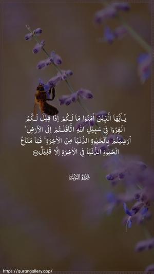 At-Tawba Ayah 38 - Arabic wallpaper