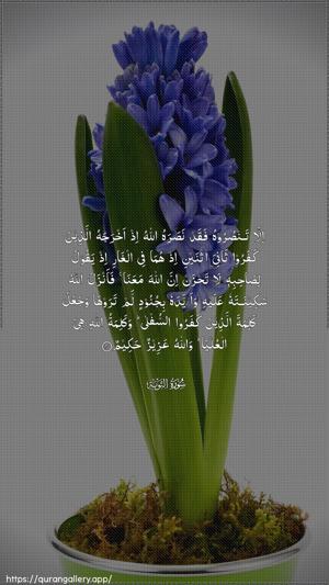 At-Tawba Ayah 40 - Arabic wallpaper