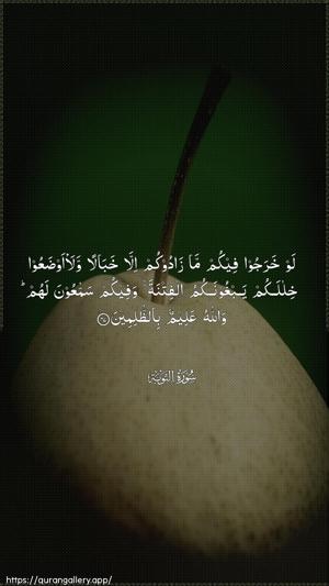 At-Tawba Ayah 47 - Arabic wallpaper