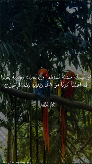 At-Tawba Ayah 50 - Arabic wallpaper