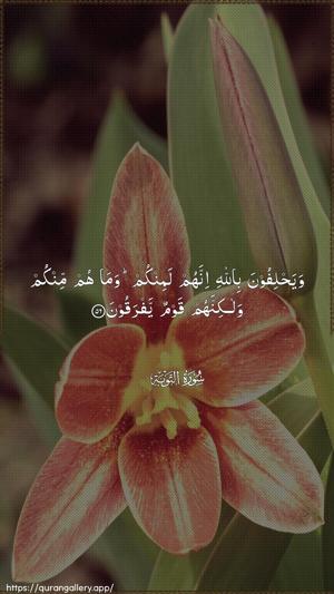 At-Tawba Ayah 56 - Arabic wallpaper