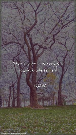 At-Tawba Ayah 57 - Arabic wallpaper