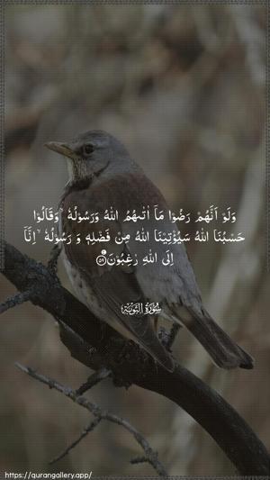 At-Tawba Ayah 59 - Arabic wallpaper