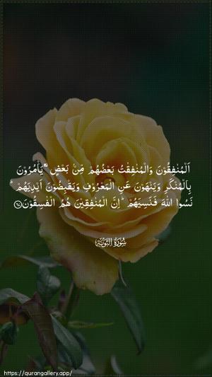 At-Tawba Ayah 67 - Arabic wallpaper