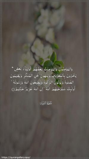 At-Tawba Ayah 71 - Arabic wallpaper