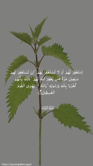 At-Tawba Ayah 80 - Arabic wallpaper
