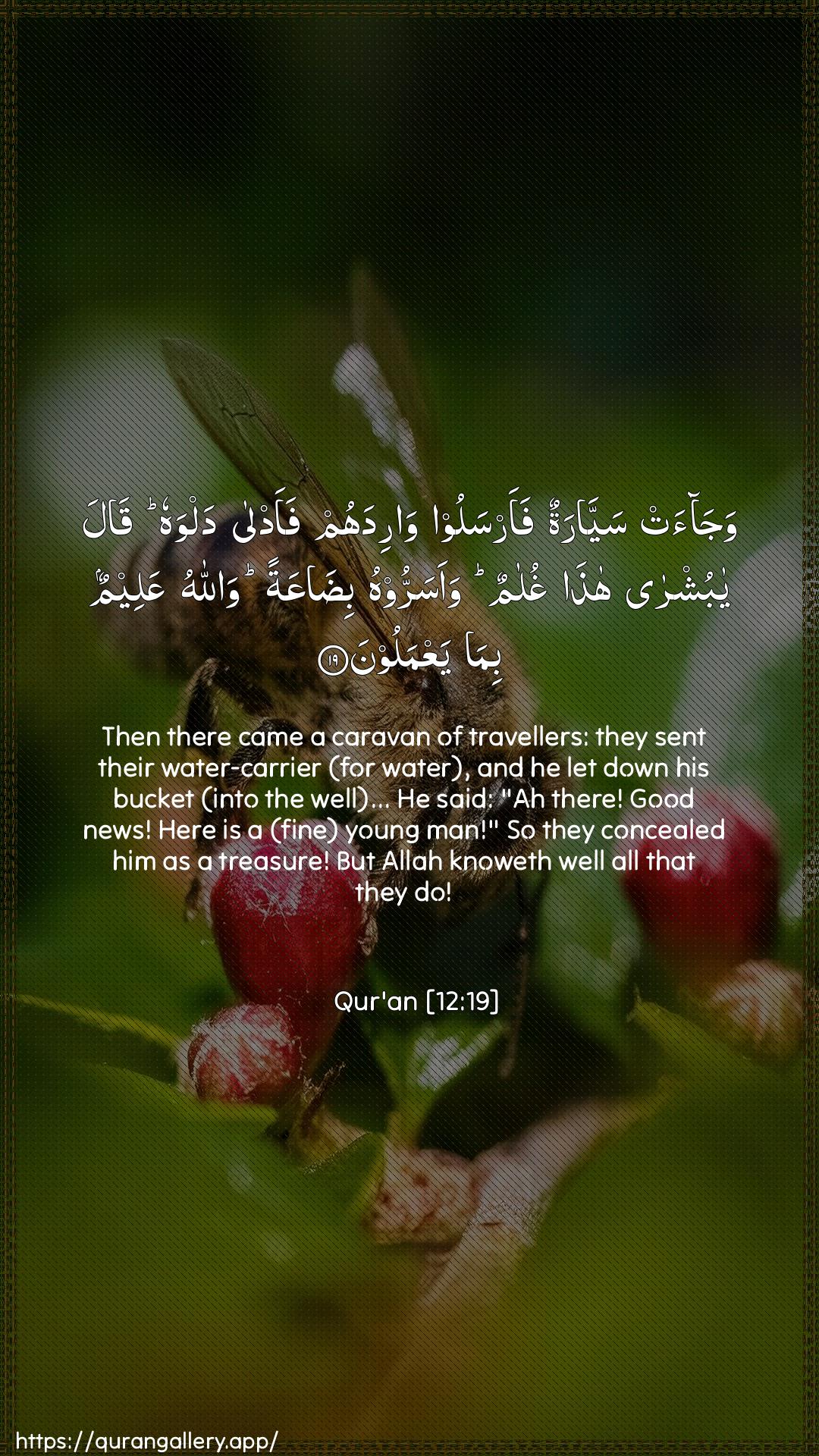 Surah Yusuf Ayah 19 of 12 HD Wallpaper: Download Beautiful vertical Quran Verse Image | Wajaat sayyaratun faarsaloo waridahumfaadla dalwahu qala ya bushra hathaghulamun waasarroohu bidaAAatan wallahuAAaleemun bima yaAAmaloon