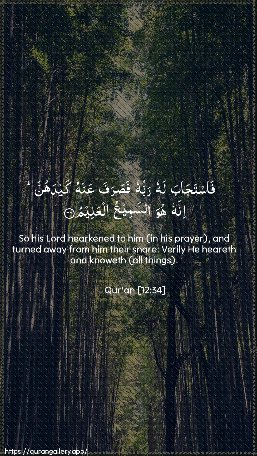 Surah Yusuf Ayah 34 of 12 HD Wallpaper: Download Beautiful vertical Quran Verse Image | Fastajaba lahu rabbuhu fasarafaAAanhu kaydahunna innahu huwa assameeAAu alAAaleem