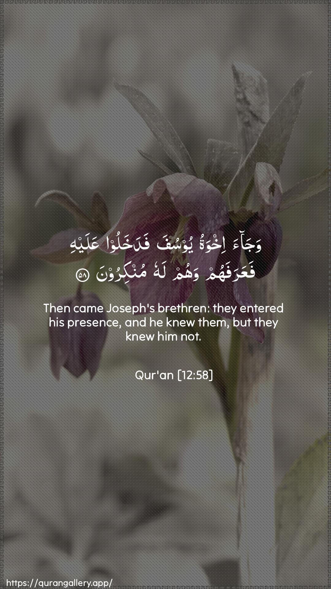 Surah Yusuf Ayah 58 of 12 HD Wallpaper: Download Beautiful vertical Quran Verse Image | Wajaa ikhwatu yoosufa fadakhalooAAalayhi faAAarafahum wahum lahu munkiroon