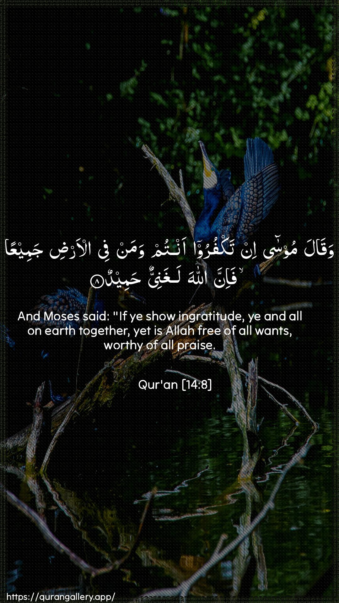 Surah Ibrahim Ayah 8 of 14 HD Wallpaper: Download Beautiful vertical Quran Verse Image | Waqala moosa in takfuroo antumwaman fee al-ardi jameeAAan fa-inna Allahalaghaniyyun hameed