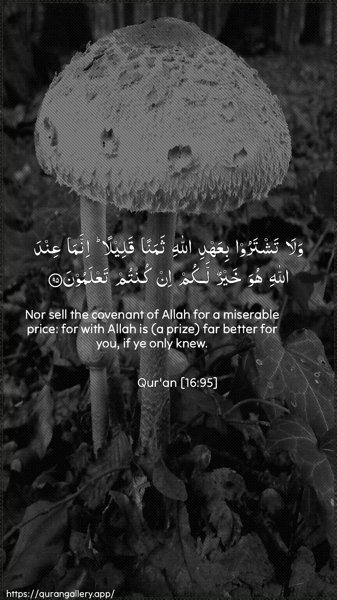 Surah An-Nahl Ayah 95 of 16 HD Wallpaper: Download Beautiful vertical Quran Verse Image | Wala tashtaroo biAAahdi Allahithamanan qaleelan innama AAinda Allahi huwa khayrunlakum in kuntum taAAlamoon