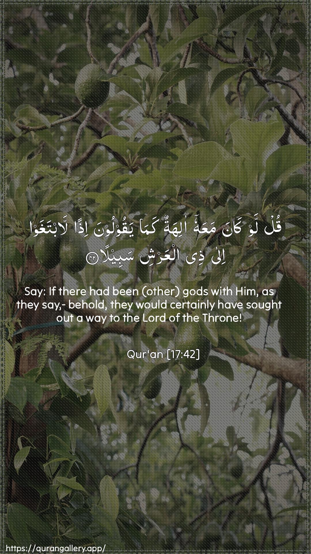 Surah Al-Israa Ayah 42 of 17 HD Wallpaper: Download Beautiful vertical Quran Verse Image | Qul law kana maAAahu alihatunkama yaqooloona ithan labtaghaw ila theealAAarshi sabeela