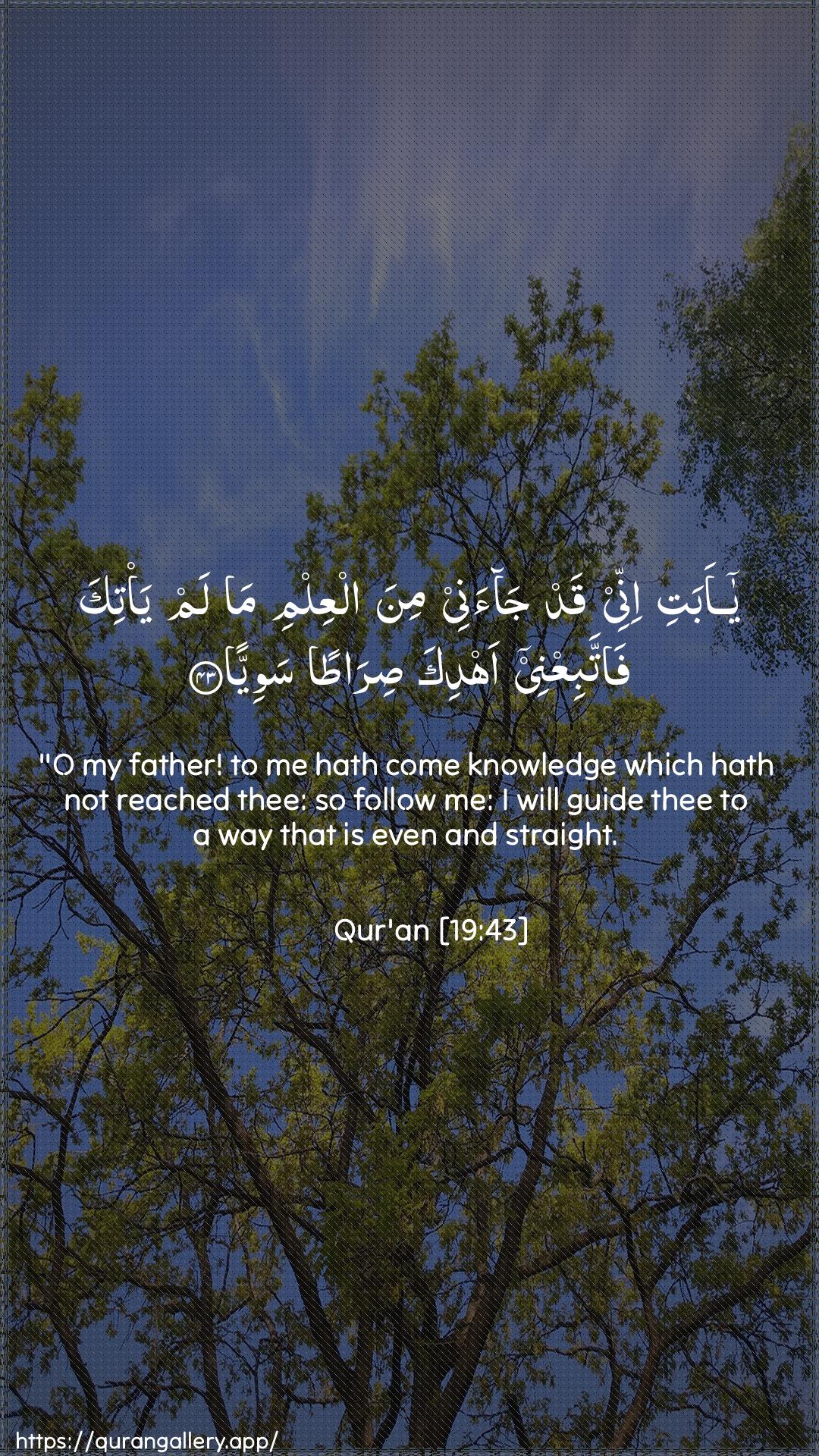 Surah Maryam Ayah 43 of 19 HD Wallpaper: Download Beautiful vertical Quran Verse Image | Ya abati innee qad jaanee minaalAAilmi ma lam ya/tika fattabiAAnee ahdika siratansawiyya