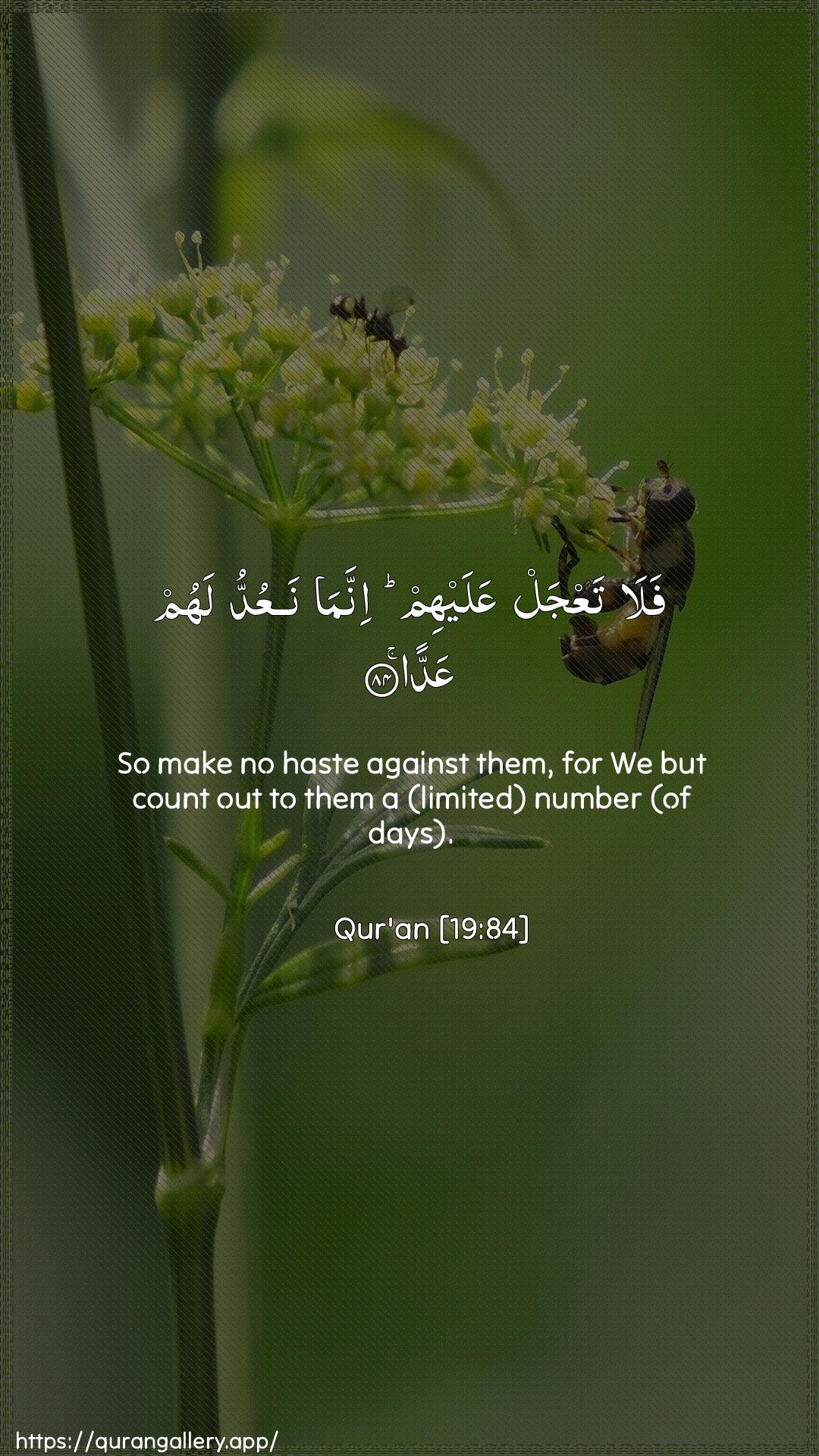 Surah Maryam Ayah 84 of 19 HD Wallpaper: Download Beautiful vertical Quran Verse Image | Fala taAAjal AAalayhim innamanaAAuddu lahum AAadda