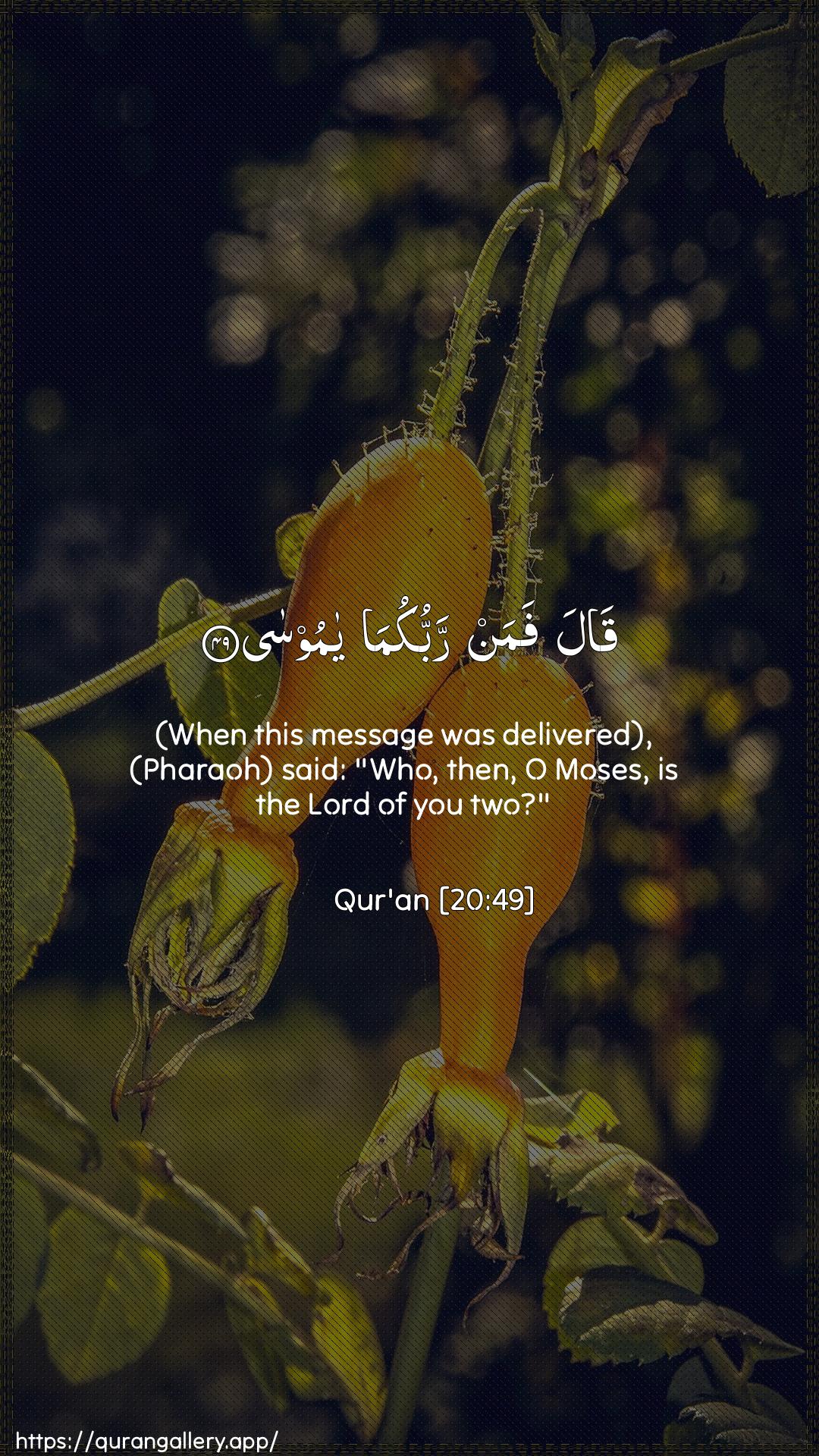 Surah Taa-Haa Ayah 49 of 20 HD Wallpaper: Download Beautiful vertical Quran Verse Image | Qala faman rabbukuma yamoosa