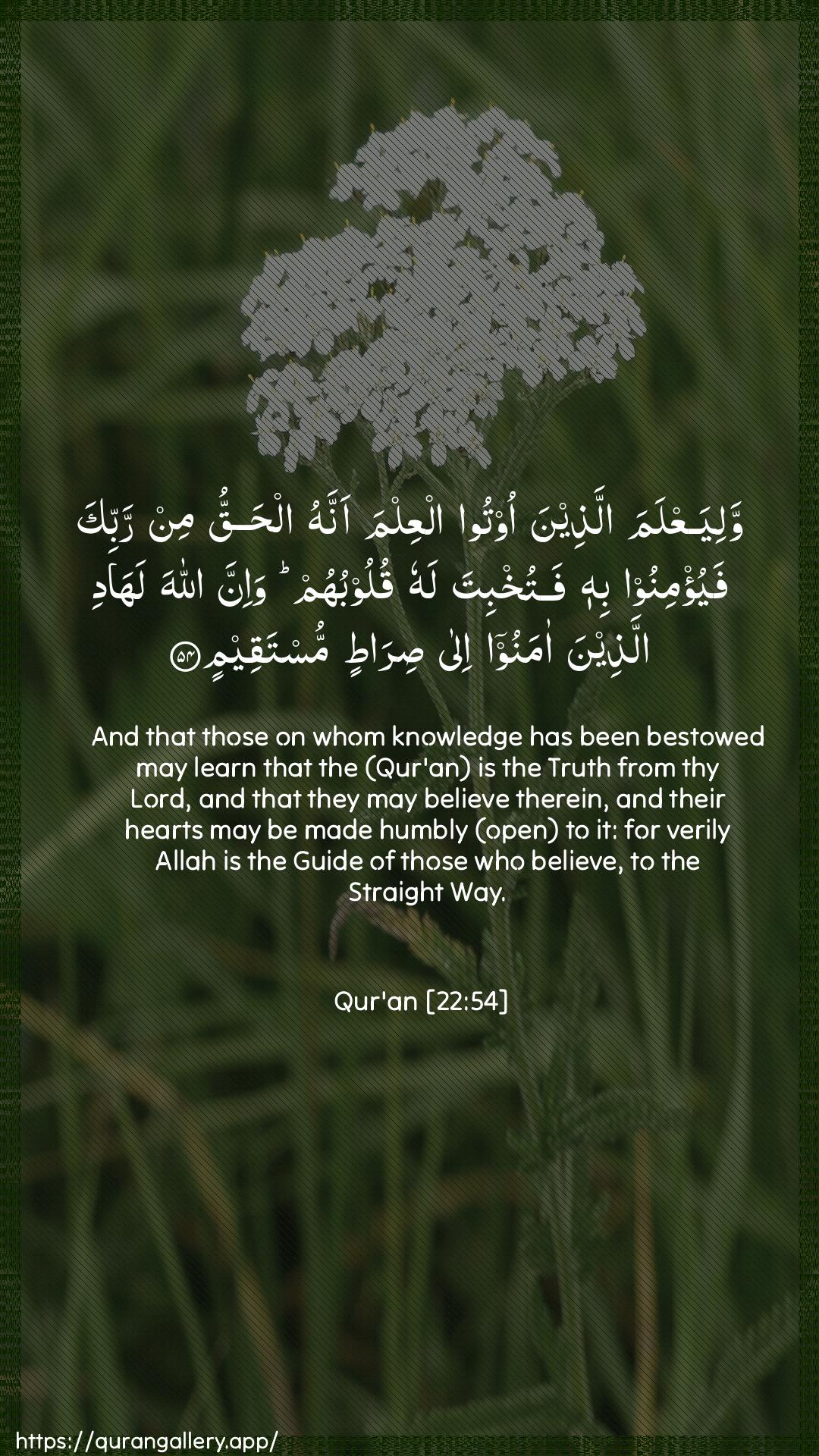 Surah Al-Hajj Ayah 54 of 22 HD Wallpaper: Download Beautiful vertical Quran Verse Image | WaliyaAAlama allatheena ootooalAAilma annahu alhaqqu min rabbika fayu/minoo bihifatukhbita lahu quloobuhum wa-inna Allaha lahadiallatheena amanoo ila siratinmustaqeem