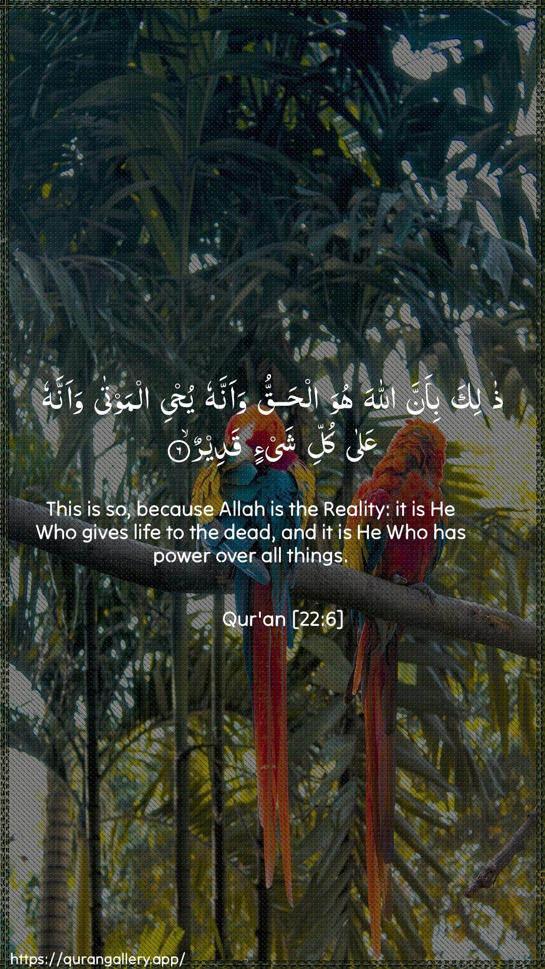 Surah Al-Hajj Ayah 6 of 22 HD Wallpaper: Download Beautiful vertical Quran Verse Image | Thalika bi-anna Allaha huwa alhaqquwaannahu yuhyee almawta waannahu AAala kullishay-in qadeer