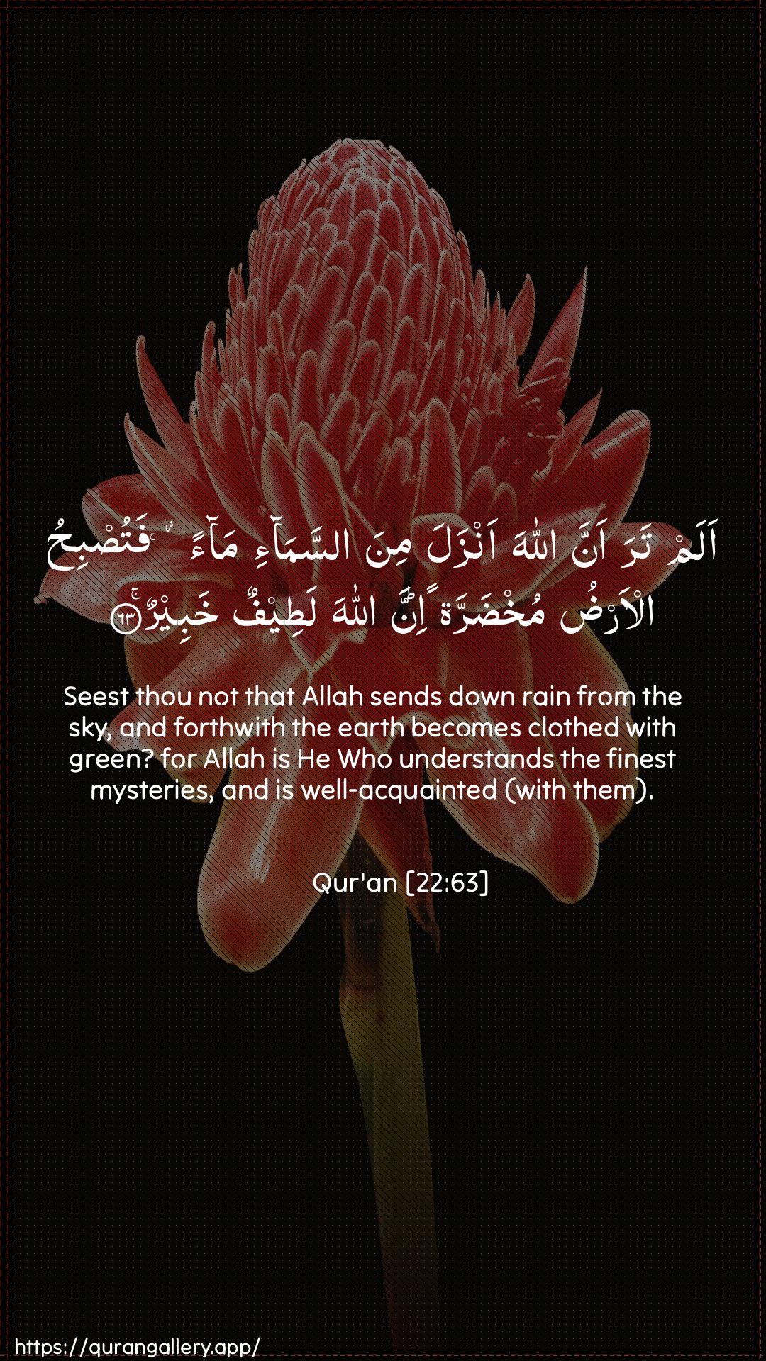 Surah Al-Hajj Ayah 63 of 22 HD Wallpaper: Download Beautiful vertical Quran Verse Image | Alam tara anna Allaha anzala mina assama-imaan fatusbihu al-ardu mukhdarrataninna Allaha lateefun khabeer