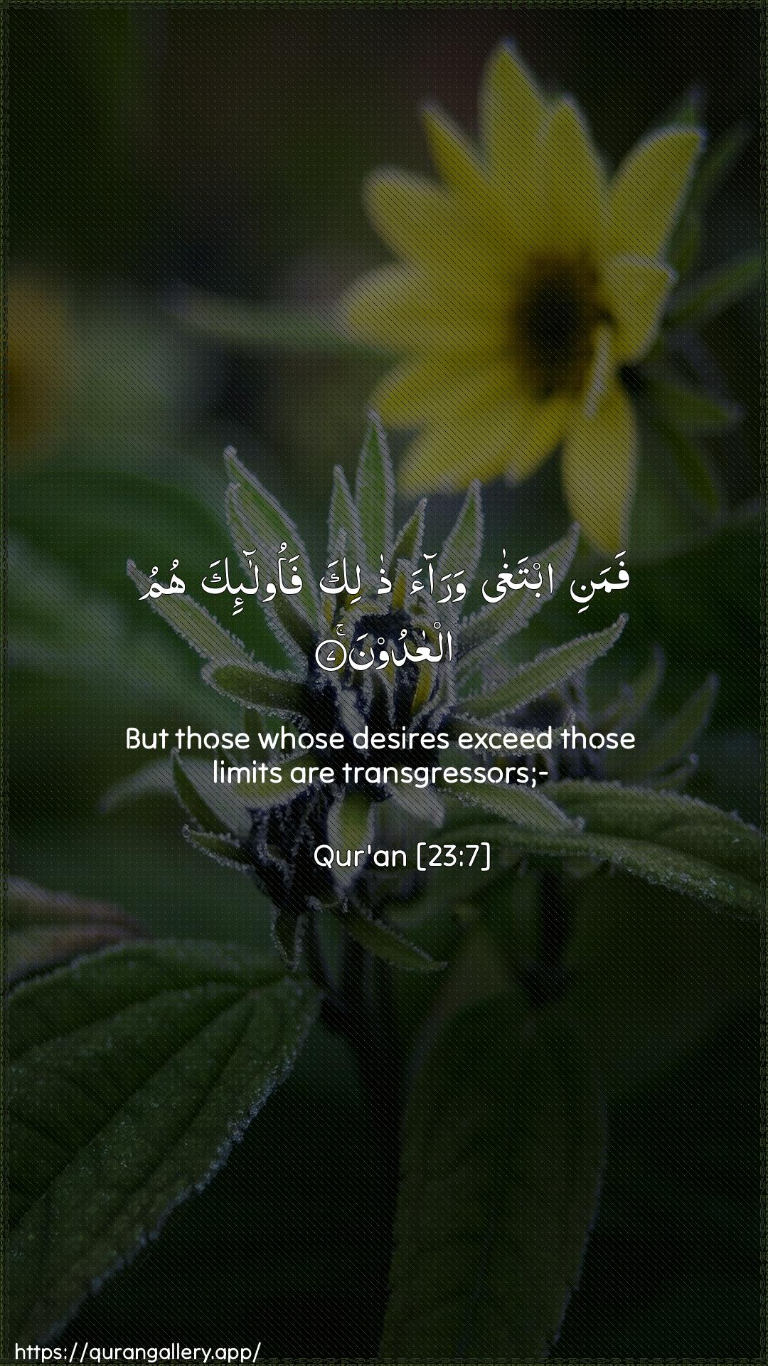 Surah Al-Muminoon Ayah 7 of 23 HD Wallpaper: Download Beautiful vertical Quran Verse Image | Famani ibtagha waraa thalikafaola-ika humu alAAadoon