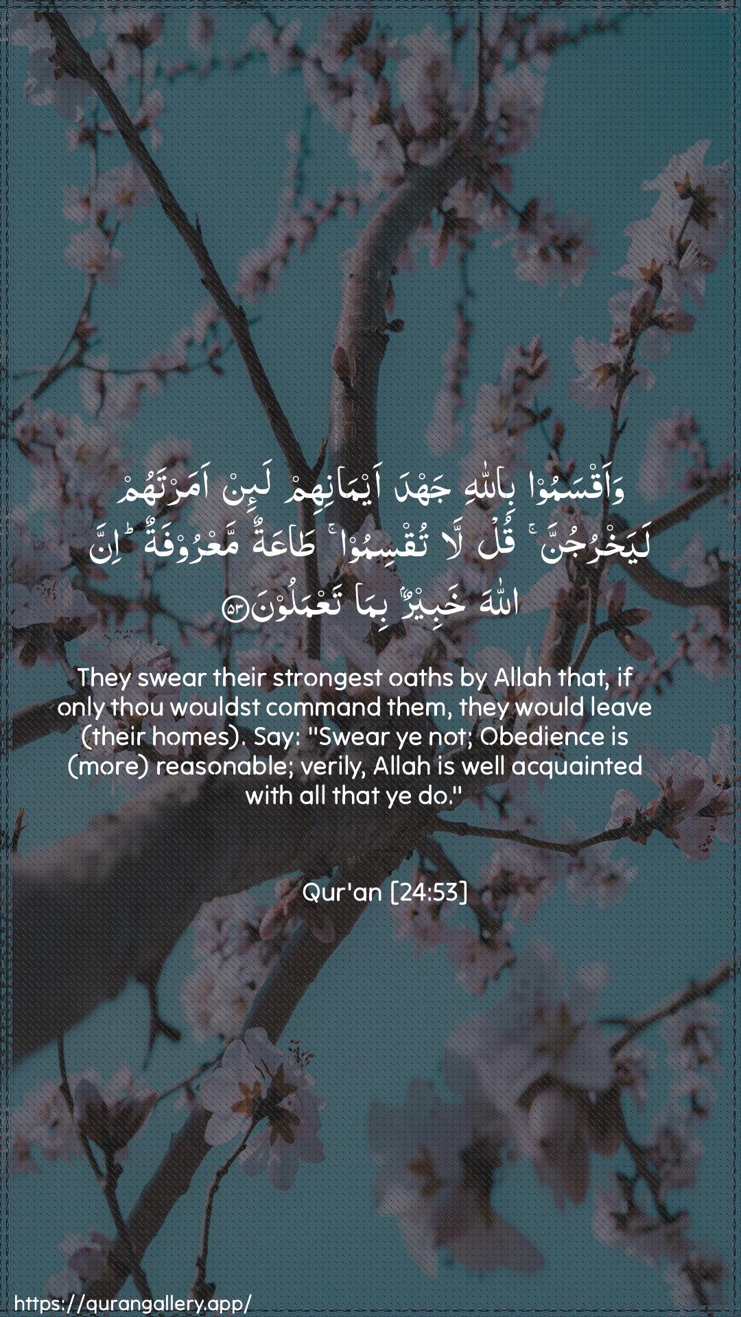 Surah An-Noor Ayah 53 of 24 HD Wallpaper: Download Beautiful vertical Quran Verse Image | Waaqsamoo billahi jahda aymanihimla-in amartahum layakhrujunna qul la tuqsimoo taAAatunmaAAroofatun inna Allaha khabeerun bima taAAmaloon