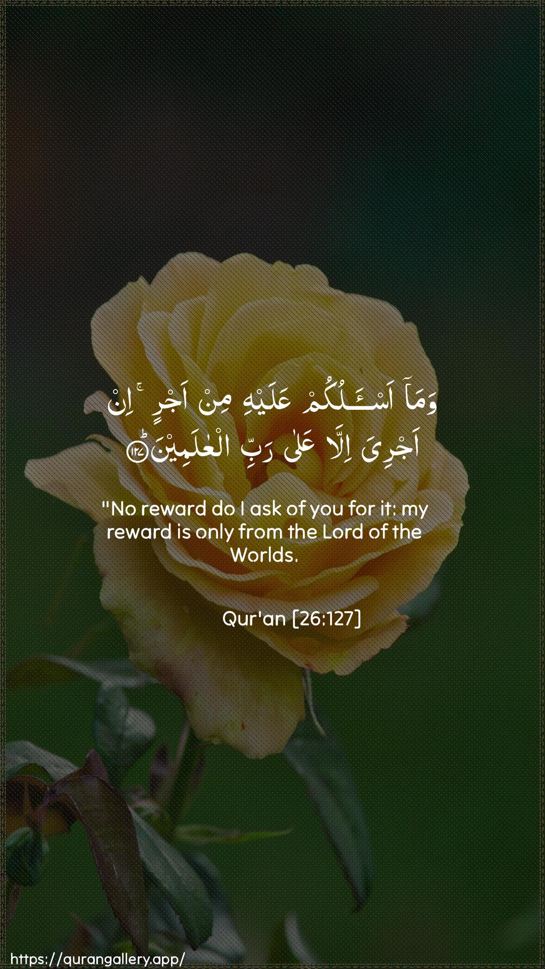 Surah Ash-Shu"araa Ayah 127 of 26 HD Wallpaper: Download Beautiful vertical Quran Verse Image | Wama as-alukum AAalayhi min ajrin inajriya illa AAala rabbi alAAalameen