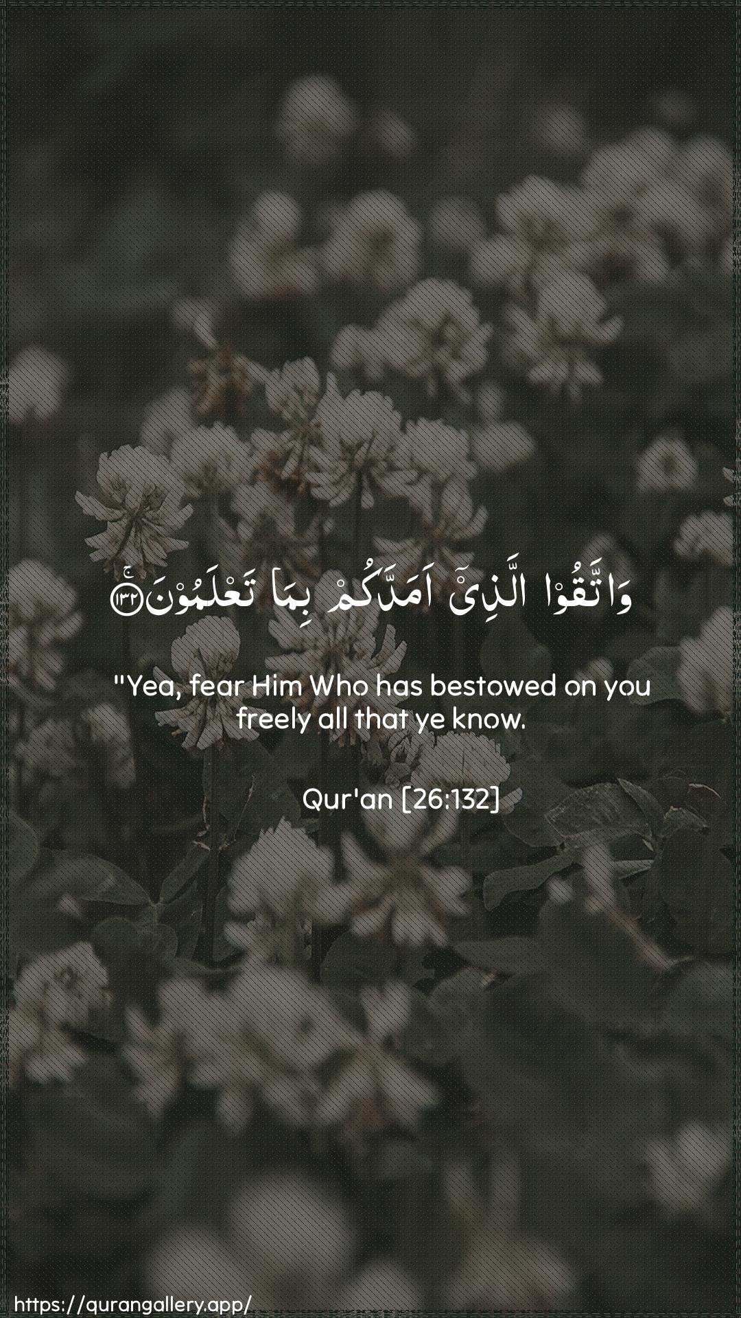 Surah Ash-Shu"araa Ayah 132 of 26 HD Wallpaper: Download Beautiful vertical Quran Verse Image | Wattaqoo allathee amaddakumbima taAAlamoon