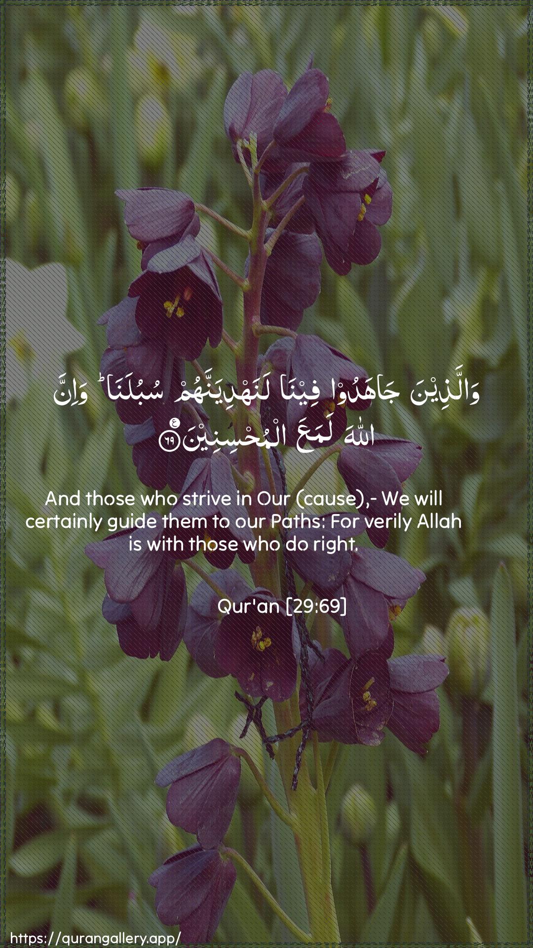 Surah Al-Ankaboot Ayah 69 of 29 HD Wallpaper: Download Beautiful vertical Quran Verse Image | Wallatheena jahadoofeena lanahdiyannahum subulana wa-inna AllahalamaAAa almuhsineen