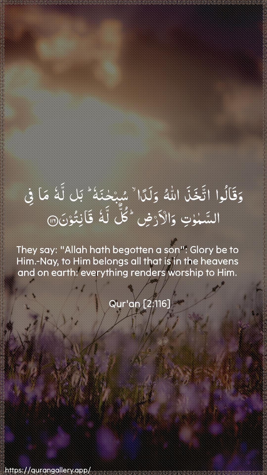 Surah Al-Baqara Ayah 116 of 2 HD Wallpaper: Download Beautiful vertical Quran Verse Image | Waqaloo itakhatha Allahuwaladan subhanahu bal lahu ma fee assamawatiwal-ardi kullun lahu qanitoon