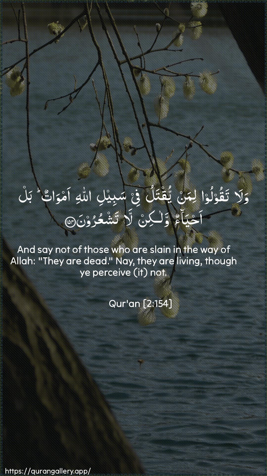 Surah Al-Baqara Ayah 154 of 2 HD Wallpaper: Download Beautiful vertical Quran Verse Image | Wala taqooloo liman yuqtalu feesabeeli Allahi amwatun bal ahyaon walakinla tashAAuroon