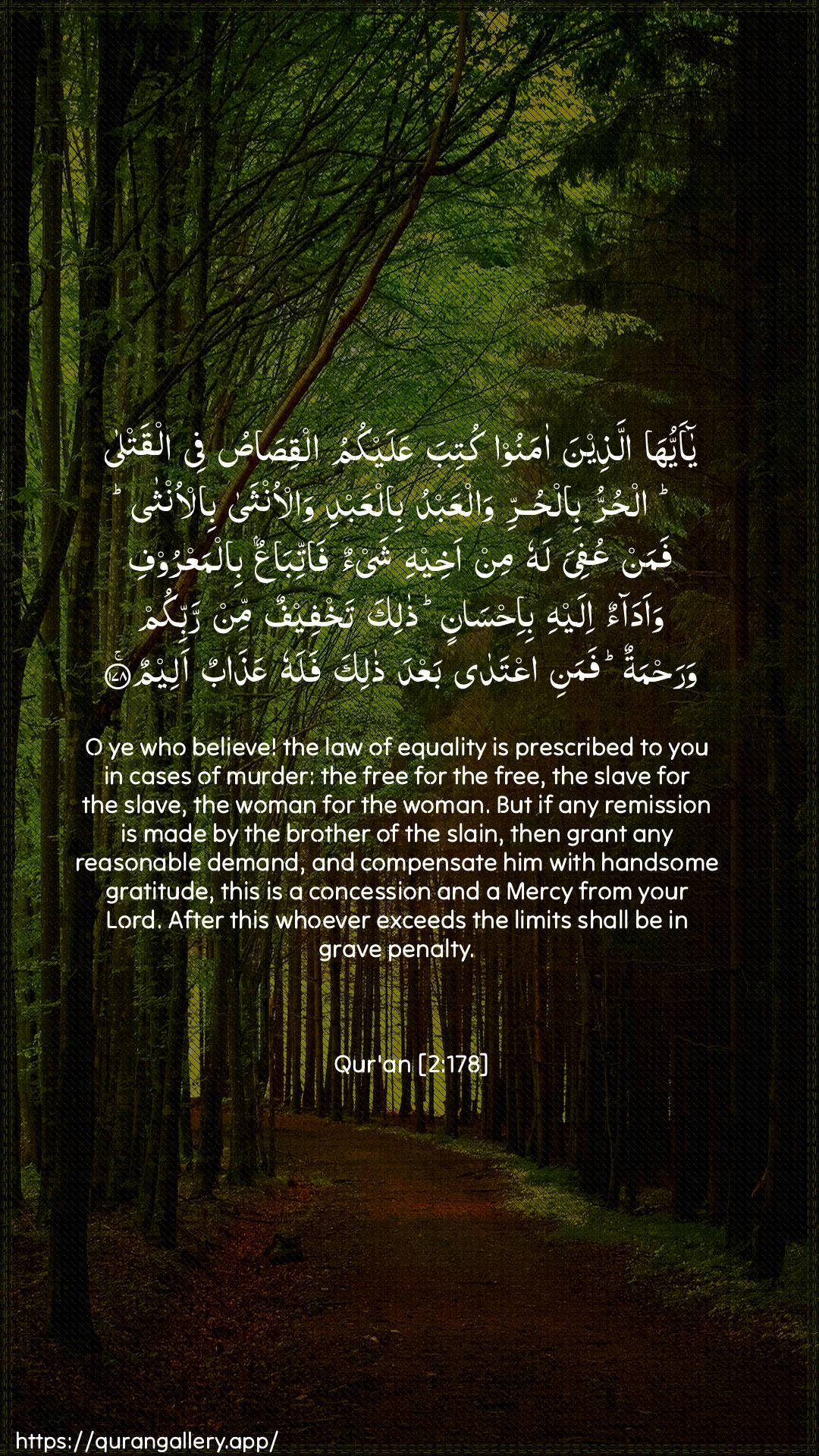 Surah Al-Baqara Ayah 178 of 2 HD Wallpaper: Download Beautiful vertical Quran Verse Image | Ya ayyuha allatheena amanookutiba AAalaykumu alqisasu fee alqatla alhurrubilhurri walAAabdu bilAAabdi walonthabilontha faman AAufiya lahu min akheehi shay-on fattibaAAunbilmaAAroofi waadaon ilayhi bi-ihsaninthalika takhfeefun min rabbikum warahmatun famaniiAAtada baAAda thalika falahu AAathabunaleem